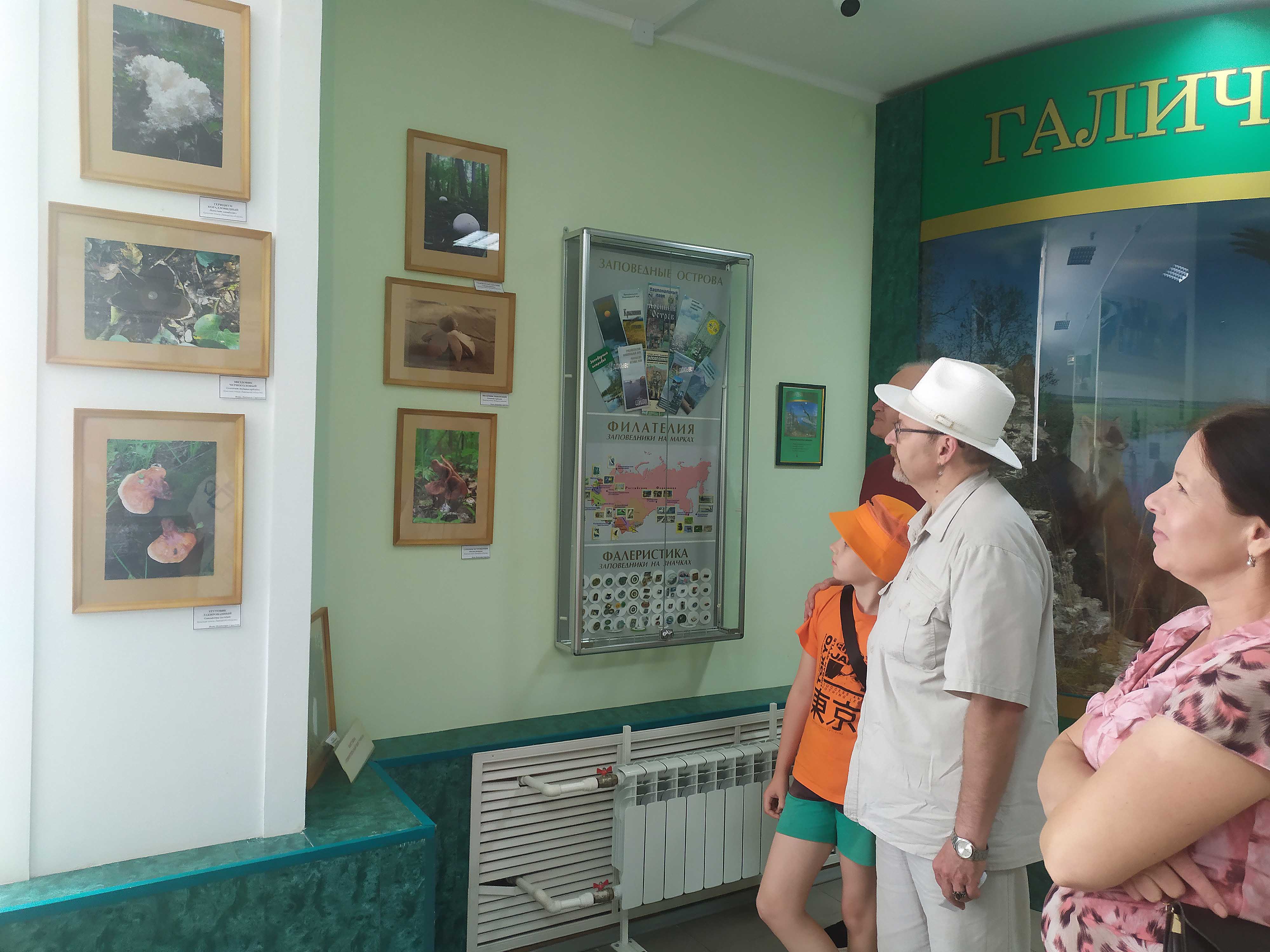 Открытие выставки «Удивительный мир грибов»