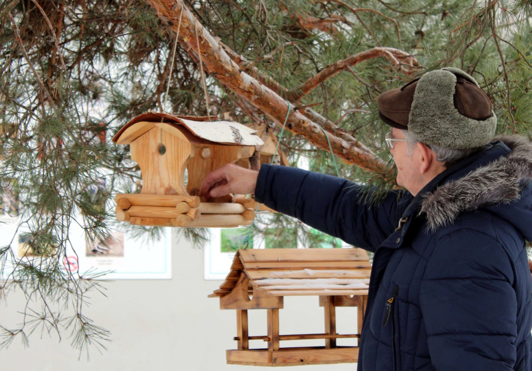 Культурно-экологическая акция «Покормите птиц зимой!»